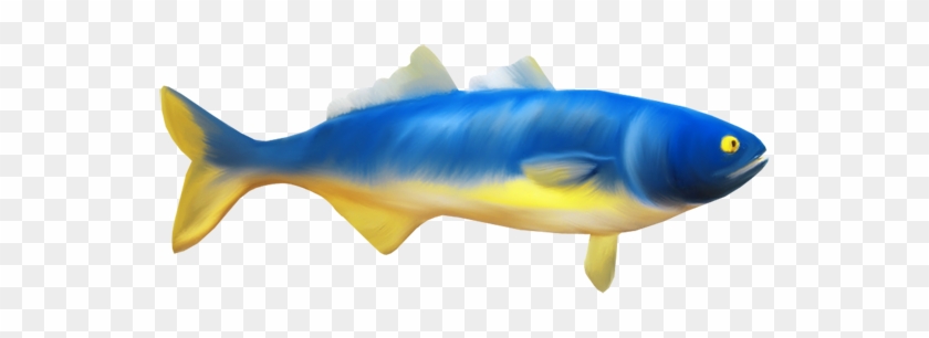 Beautiful Fish Clipart, Blue Yellow Fish Clipart - Fish #1044005