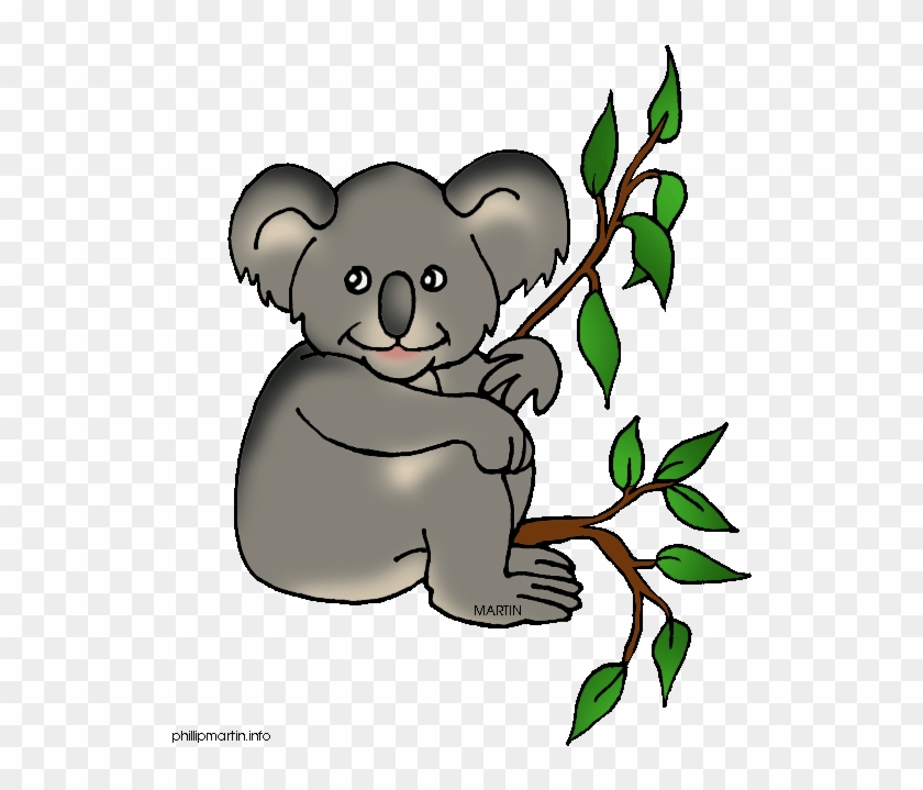 Mammal Clipart Koala Bear - Koala Parts Of The Body #1044008
