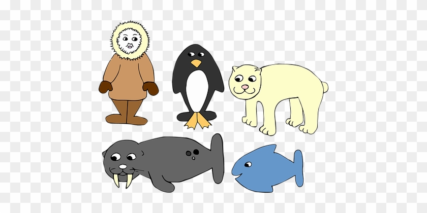 Antarctica, De Winter, Eskimo, Penguin - Antartida Esquimo #1044015