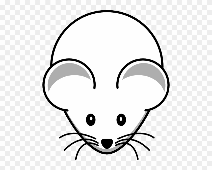 No Tail - Mouse Drawing Easy #1044374