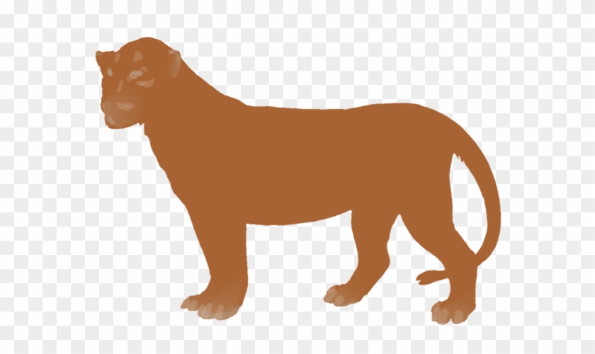 Lion #1044847