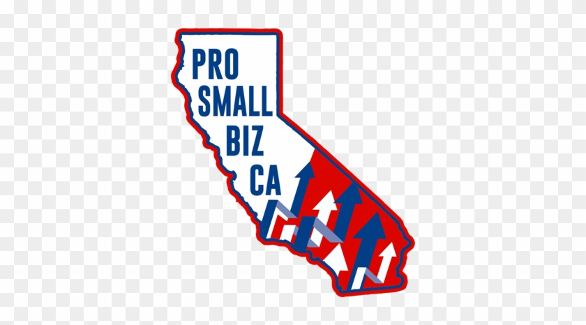 Pro Small Biz California - .org #1044903