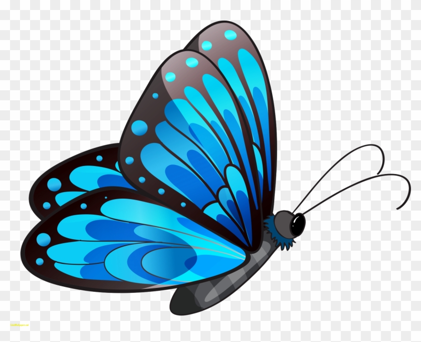 Blue Butterfly Transparent Blue Butterfly Png Clipart - Butterfly Clip Art Png #1045221