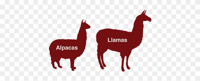 Alpaca That For You - Llama Silhouette #1045539