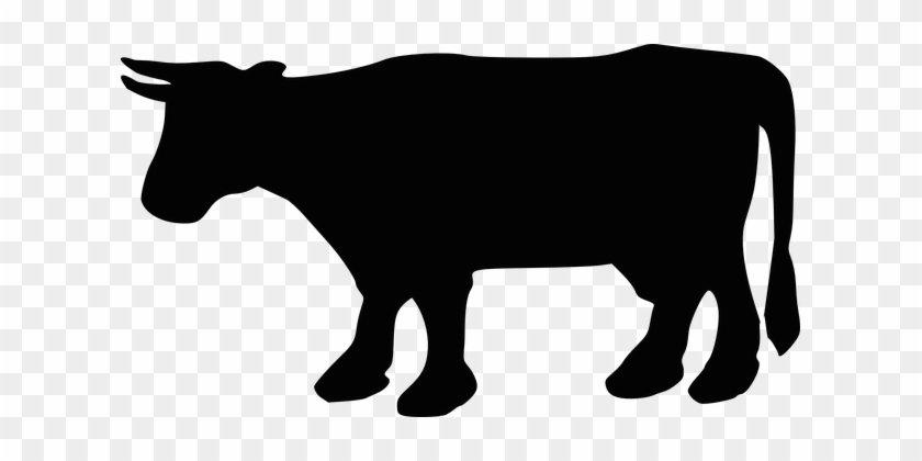 Cow, Cattle, Silhouette, Animal, Milk - Cow Silhouette Png #1045812