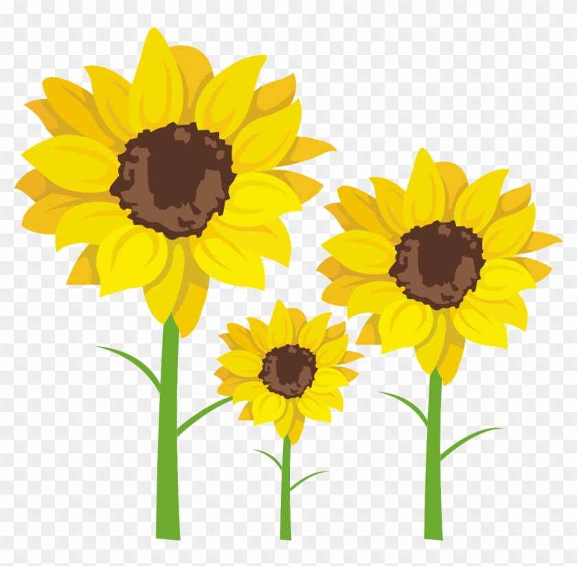Common Sunflower Sunflower Seed Clip Art - Common Sunflower #1045830