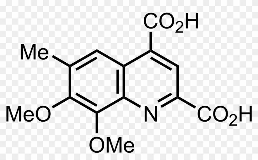 Intermediate Structure - 1 10 Phenanthroline Monohydrate #1045859
