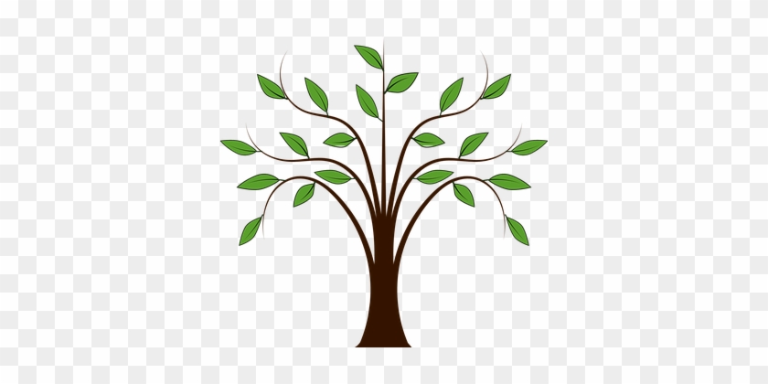 Forest Leaves Nature Plant Spring Tree Lea - Tree Free Clip Art #1046044