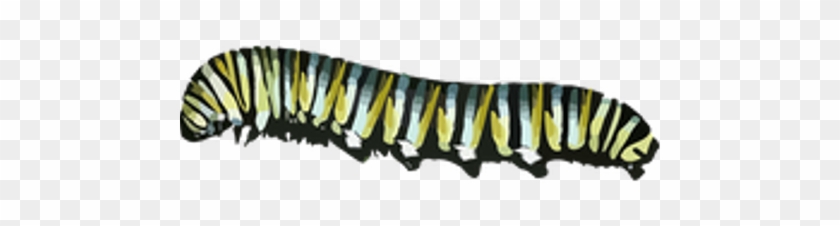 Caterpiller Png #1046191