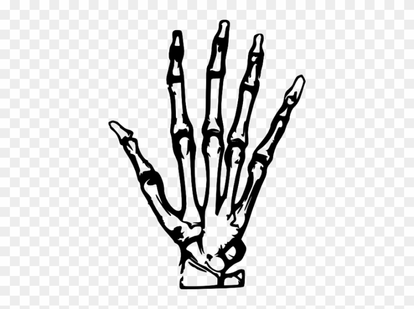 Hand X Ray Clip Art 5cpr1h Clipart - Skeleton Hand Clip Art #1046715