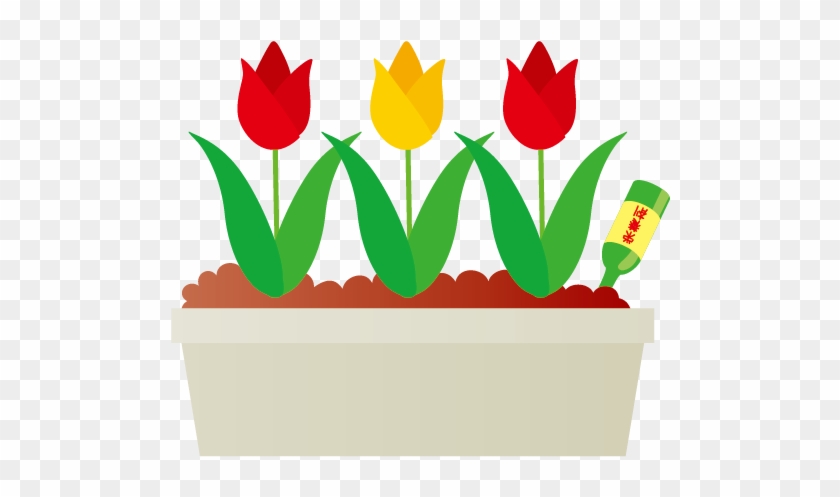 肥料の三大要素とは？ - Tulip #1047147
