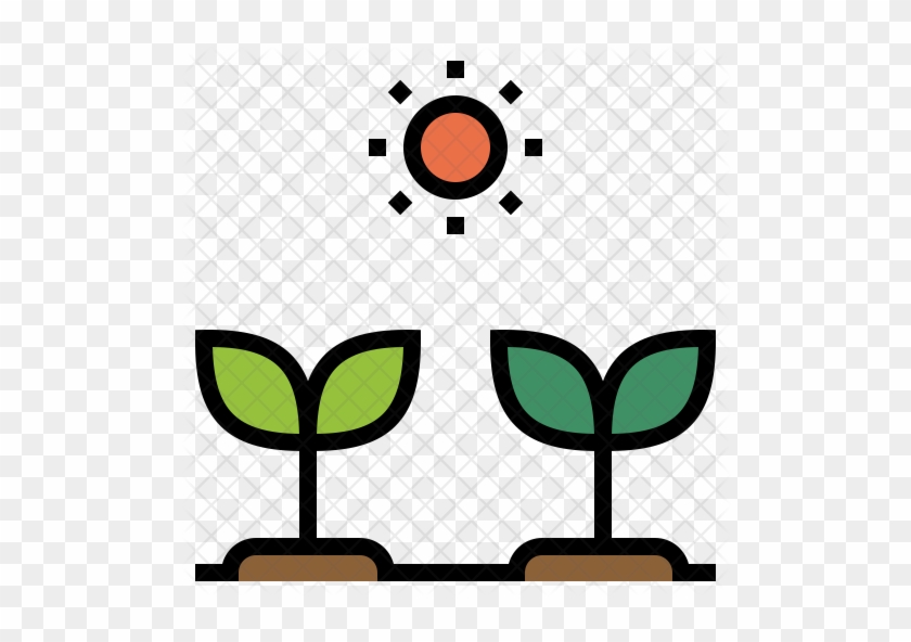Grow Seed Icon - Outdoor Icon #1047266