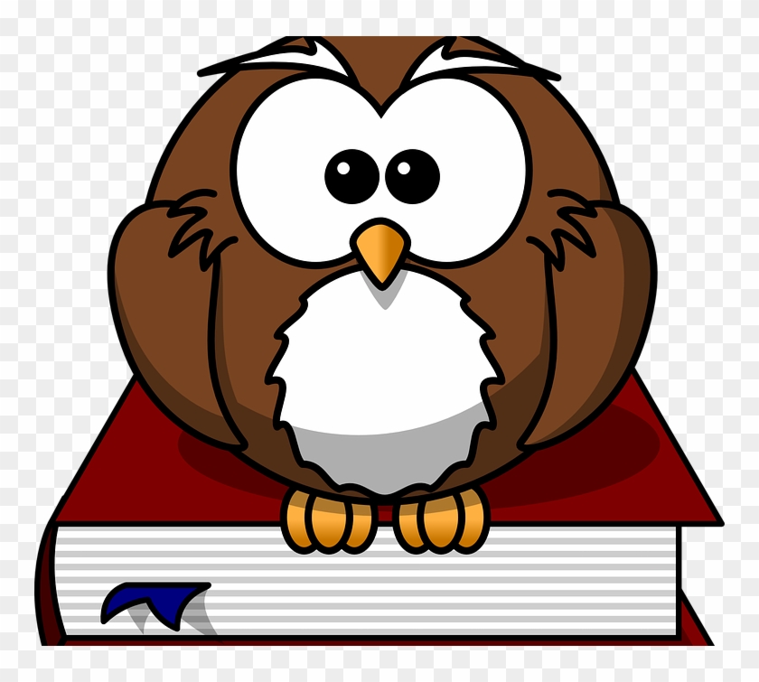 Exam Date Maths Functional Skills - Cartoon Owl #1047368