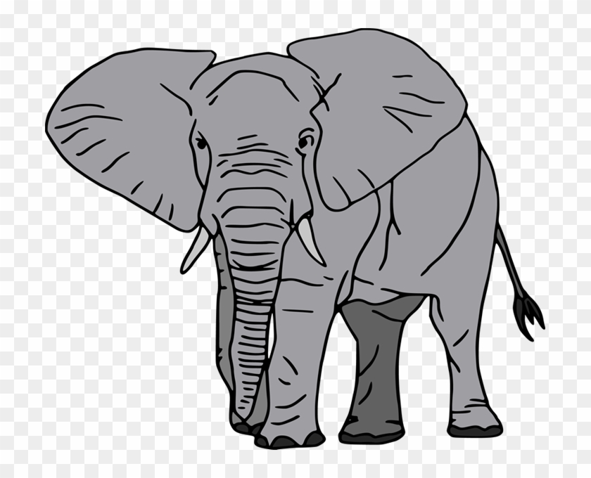 Big Elephant Facts For Kids - Elephant Cartoon White Background #1047614