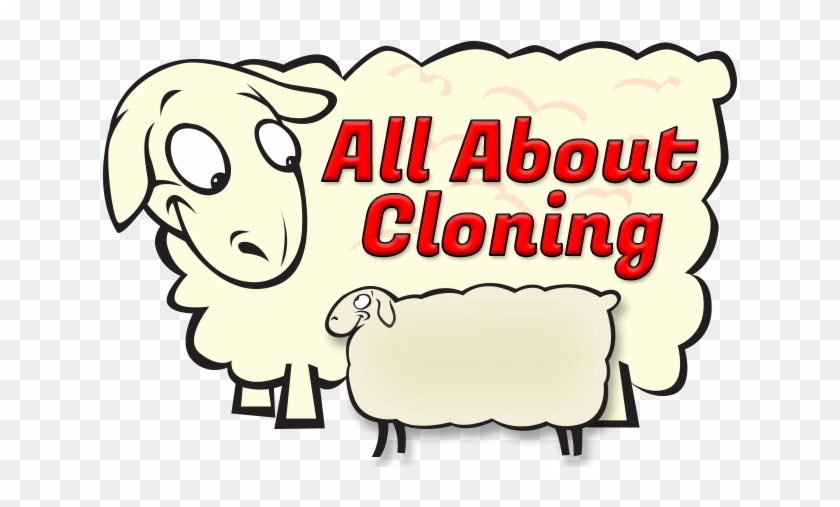 Sheep Clones Clip Art - Cloning Title #1047674