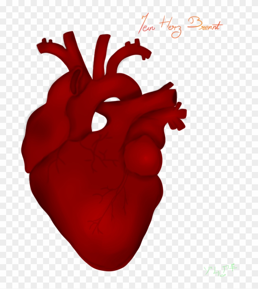 Mein Herz Brennt By Zomuaki By Zomuaki - Kooks #1047734