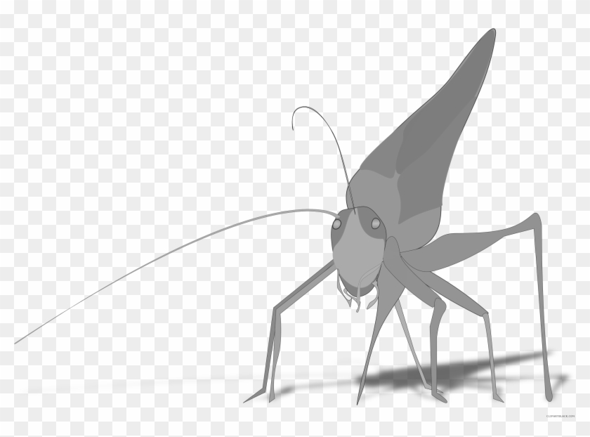 Grasshopper Animal Free Black White Clipart Images - Grasshopper Clipart #1047968