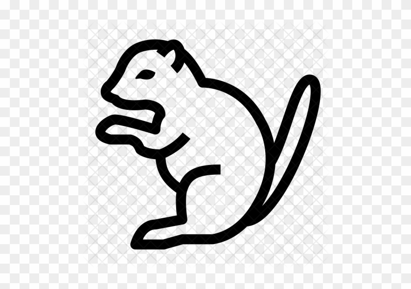 Squirrel Icon - Squirrel #1048284