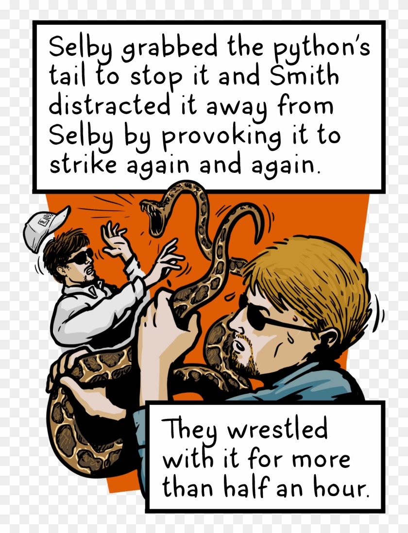 Com/the Snakes That Ate Florida E7a52ea72aab - Cartoon #1048468