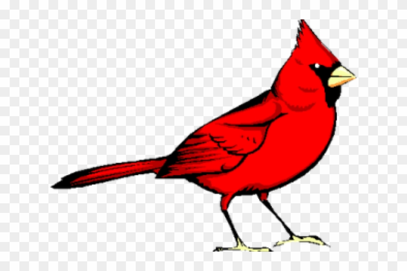 Cardinal Clipart Virginia - Clip Art Cardinal #1048671