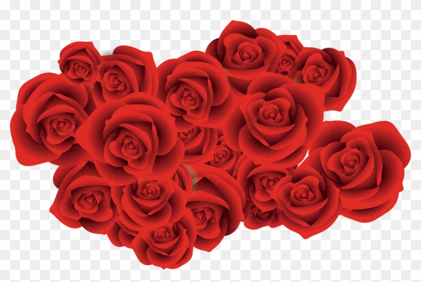 Garden Roses Beach Rose Red Flower - Corcega Spray Rose #1048743