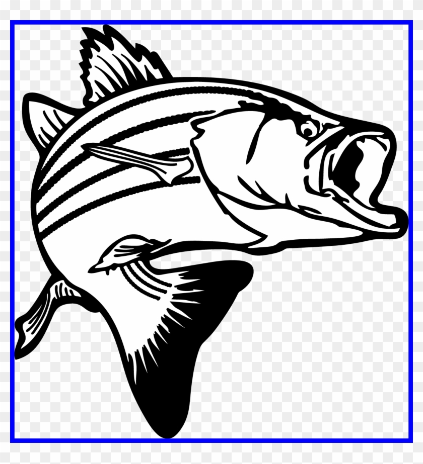 Fish Drawing Fish Drawing Artist Marvelous Jumping - Bass Clipart #1048756