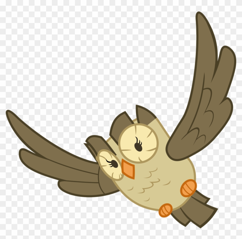 Cooltomorrowkid, Bird, Flying, Owl, Owlowiscious, Pet, - Cartoon #1048803