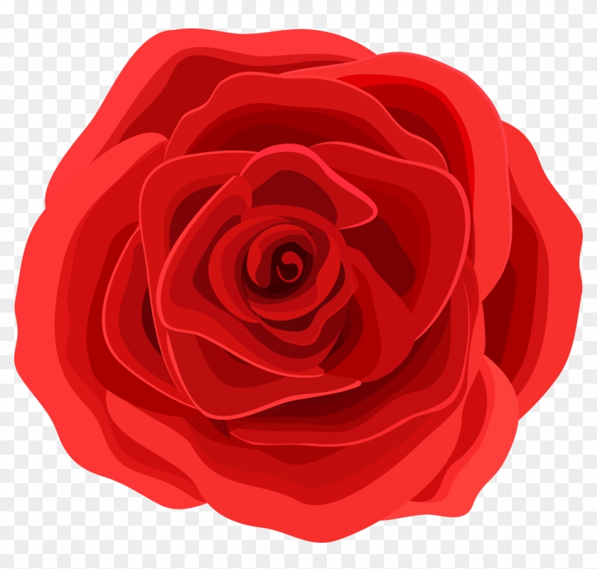 Beach Rose Graphic Design Flower - Red Rose Graphic #1048909