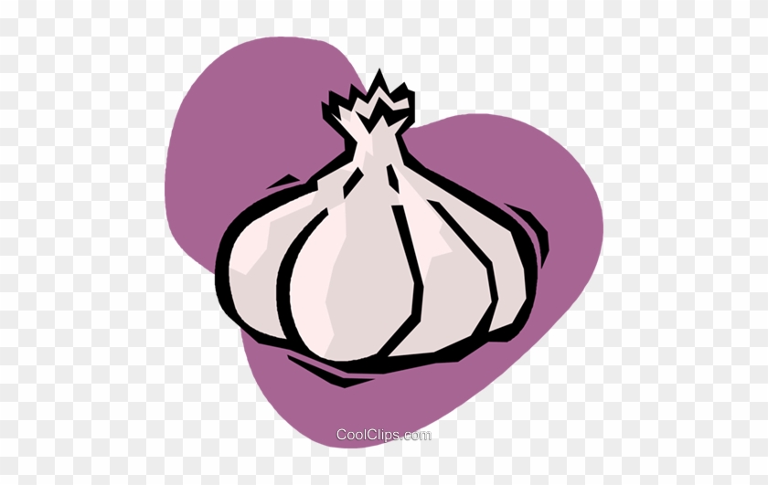 Garlic Cloves Royalty Free Vector Clip Art Illustration - Garlic Cloves Royalty Free Vector Clip Art Illustration #1048912