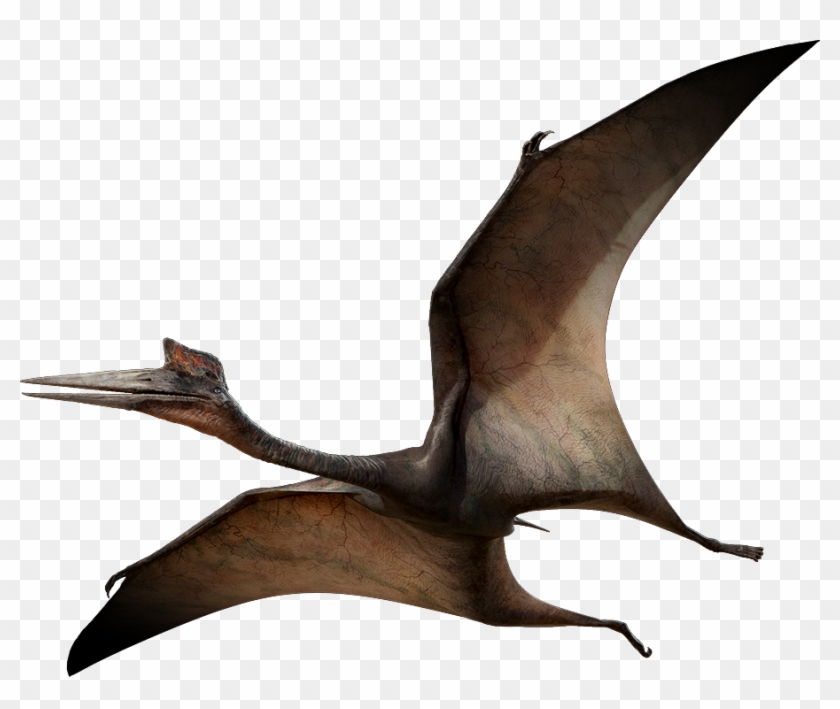 Quetzalcoatlus - All Kinds Of Dinosaurs #1048982