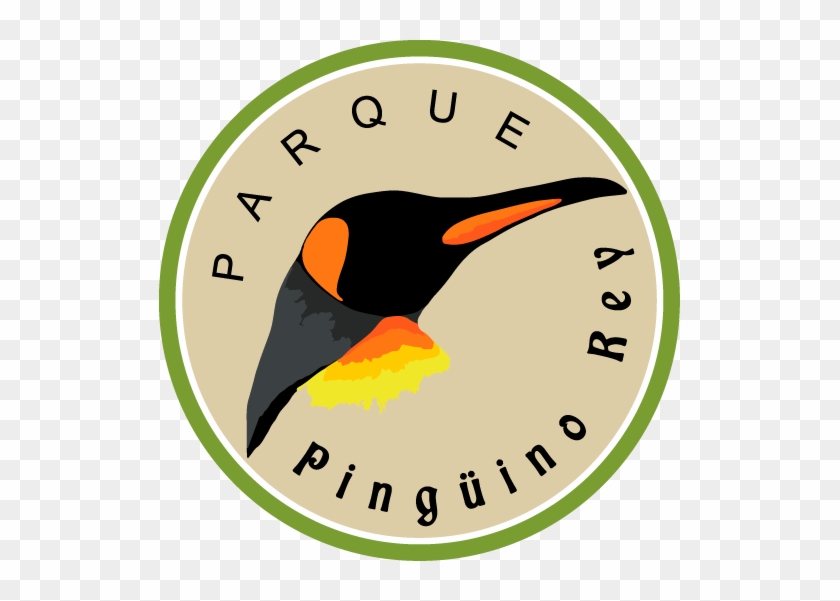 Book Your Visit - Pinguino Rey Chile #1048988