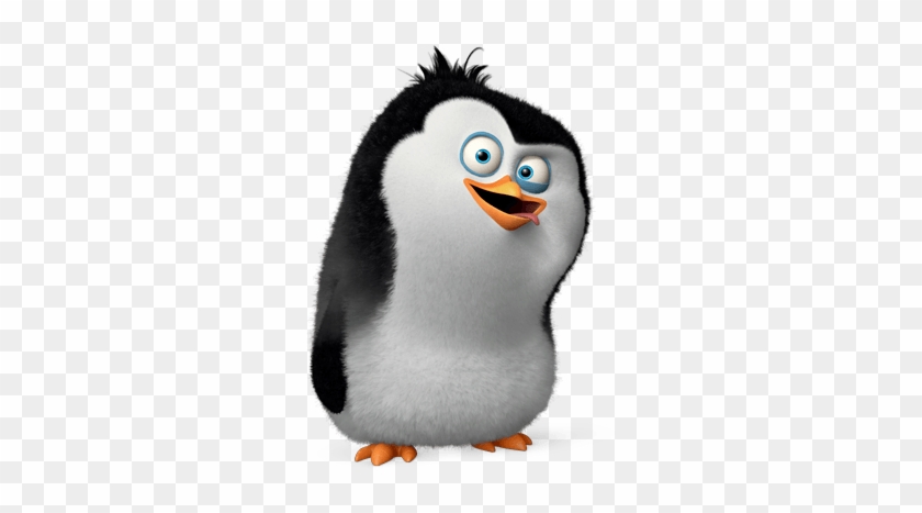 Penguins Of Madagascar Clipart Madagaskar - Baby Rico Penguins Of Madagascar #1049001