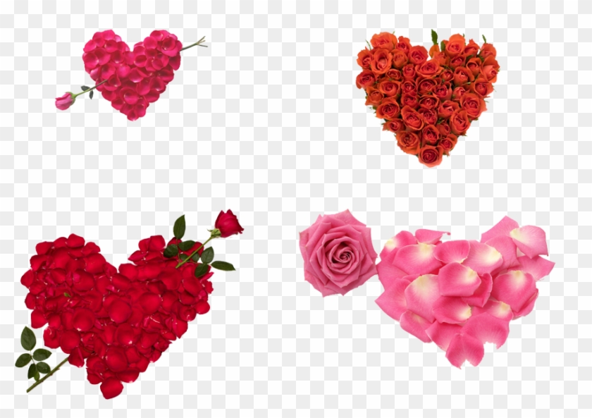 Valentines Day Sms Whatsapp Propose Day Wish - Happy Rose Day #1049350