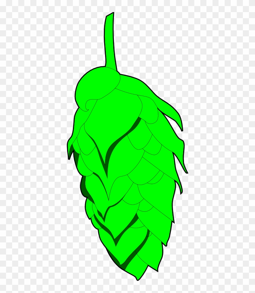 Wip Of A Cone From A Hops Vine - Wip Of A Cone From A Hops Vine #1049369