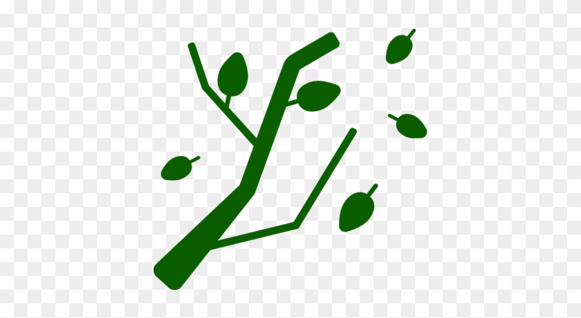 Pruning - Pruning #1049727