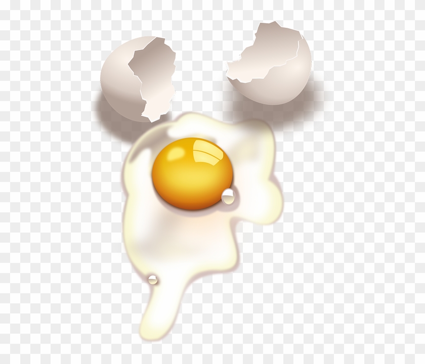 Egg, Broken, Yolk, Raw, Cracked, Uncooked, Shell - Raw Eggs Clipart #1050124