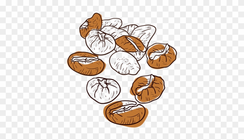 Drawn Coffee Vector Png - Hand Drawn Coffee Png #1050189