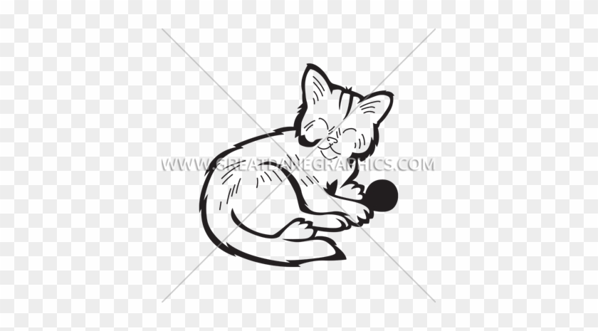 Kitten With Ball - Kitten #1050401