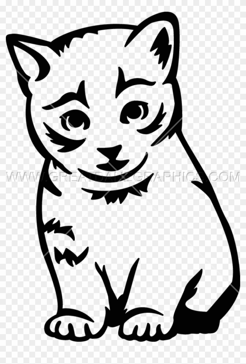 Kitten - Domestic Short-haired Cat #1050415