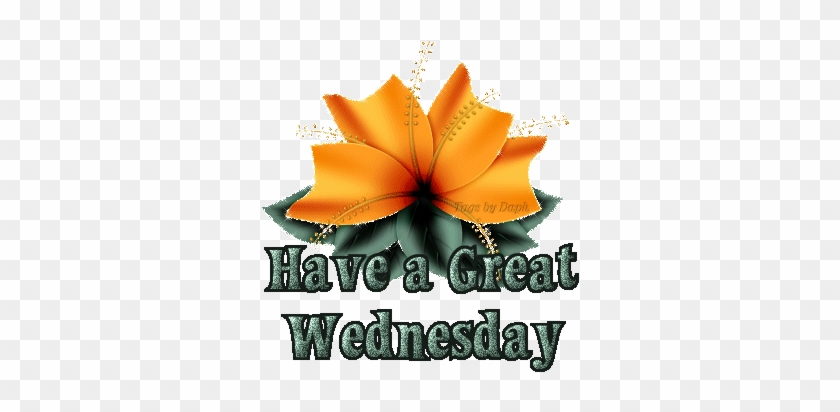 Sunny Wednesday Graphic - Have A Great Wednesday #1050422