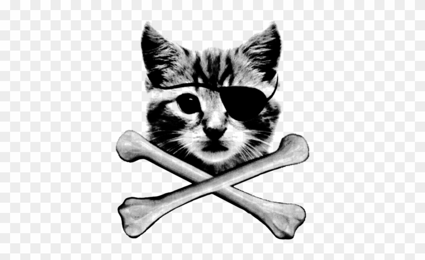 Kitten Pirate Cat With Eye Patch Crossbones Kitty Furball - Kitten Pirate Cat With Eye Patch Crossbones Kitty Furball #1050457