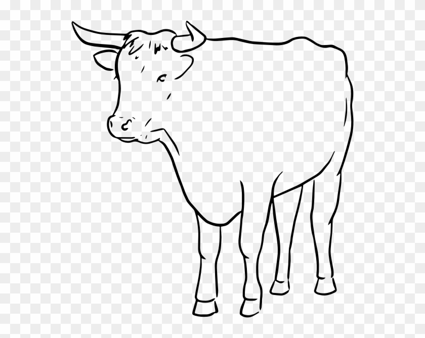 Medium Image - Line Drawing Of A Bull #1050505