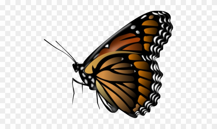Monarch Butterfly Vector Clip Art - Butterfly Png #1050544