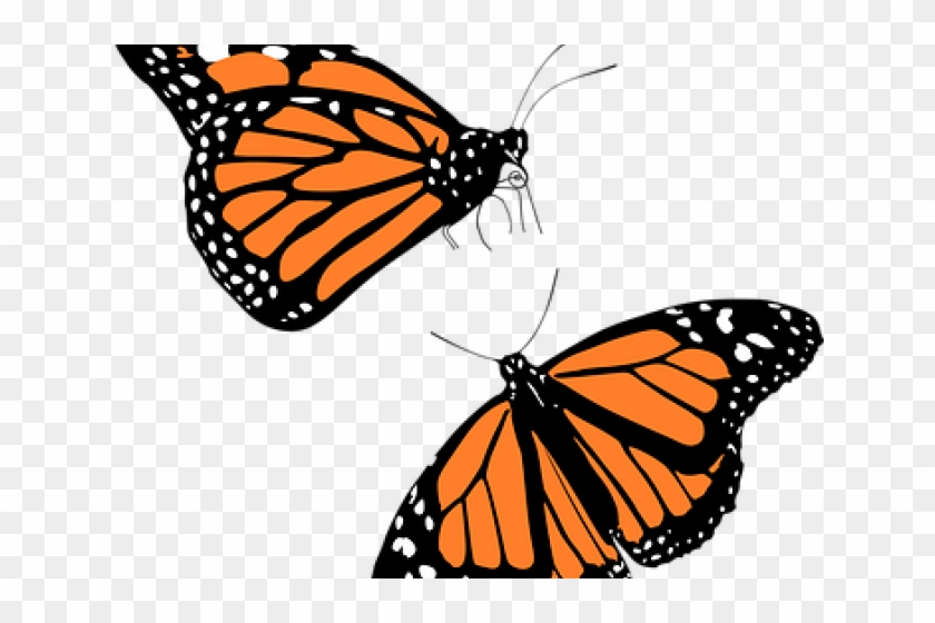 Monarch Butterfly Clipart - Monarch Butterfly Clip Art #1050564