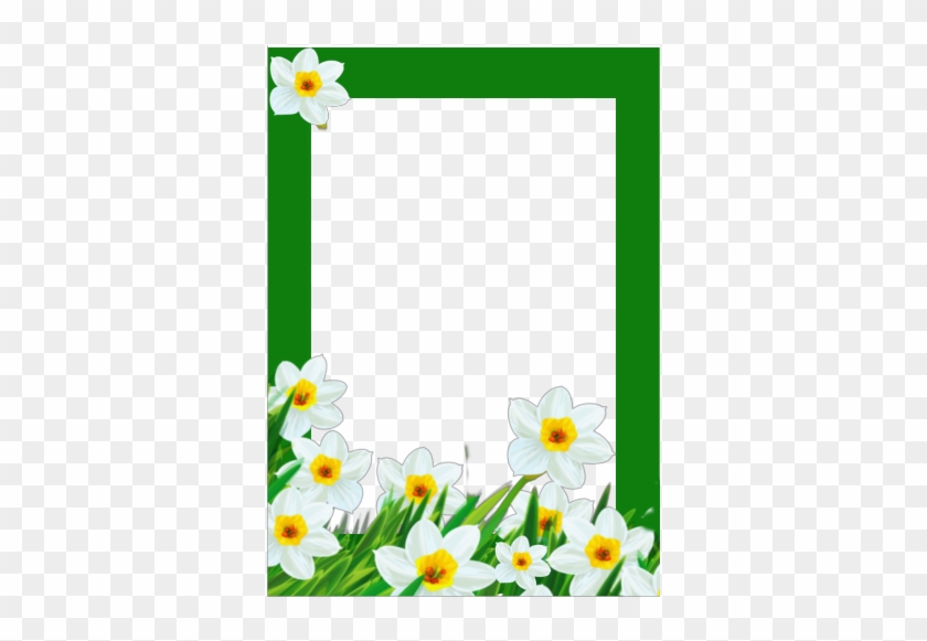 Secondary School Rayno Popovich #1050642