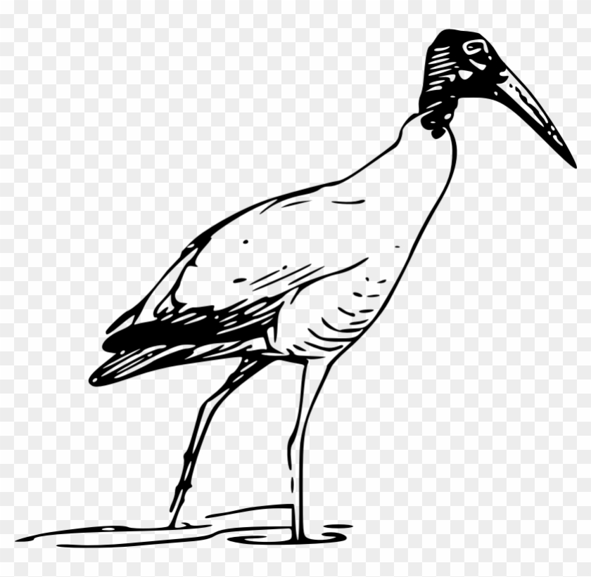 Nayrhcrel Wood Ibis - Wood Stork Clip Art #1050717