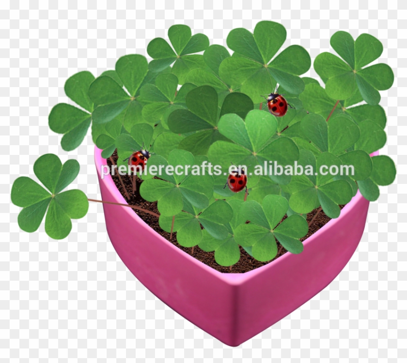 Heart Shape Bio Pot Bamboo Pot Green Flower Pot With - Flowerpot #1050984