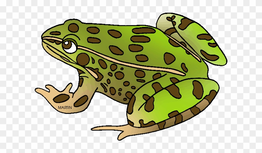 Free Animal Clip Art By Phillip Martin - Northern Leopard Frog Cartoon #1051341