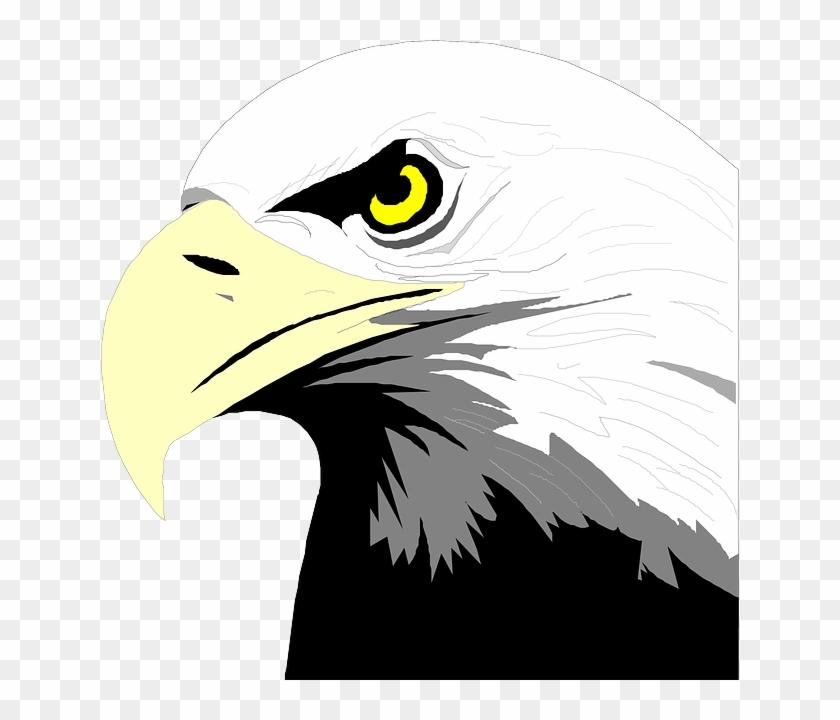 Head, Eyes, Eagle, Bird, Bald, Art, Beak, Feathers - Bald Eagle Head Clip Art #1051630