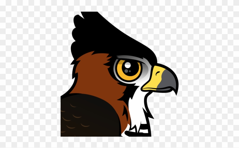 About The Ornate Hawk-eagle - Ornate Hawk-eagle #1051636